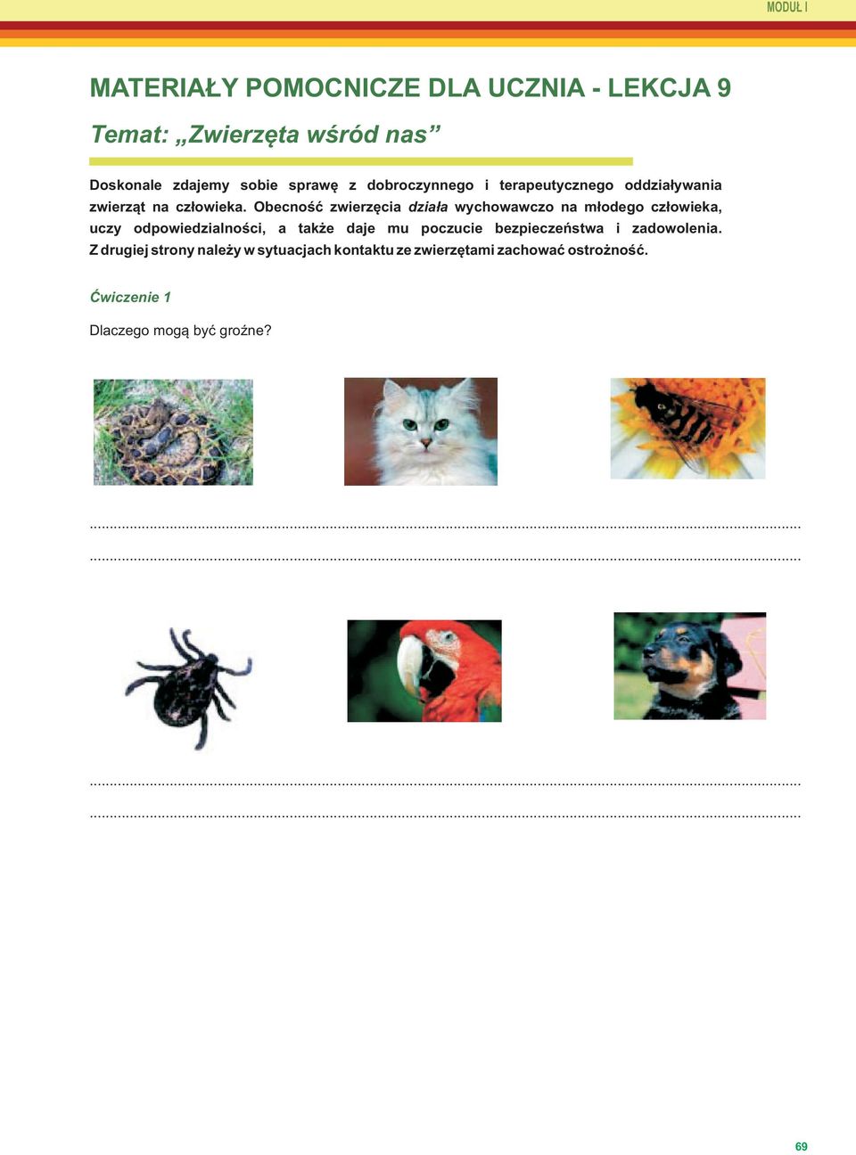 Obecność zwierzęcia działa wychowawczo na młodego człowieka, uczy odpowiedzialności, a także daje mu poczucie