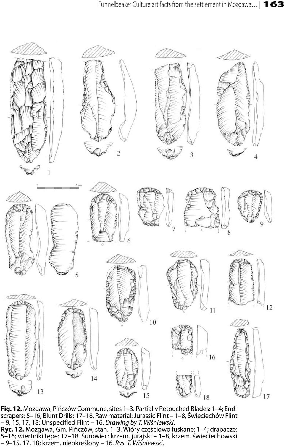 Raw material: Jurassic Flint 1 8, Świeciechów Flint 9, 15, 17, 18; Unspecified Flint 16. Drawing by T. Wiśniewski. Ryc. 12.