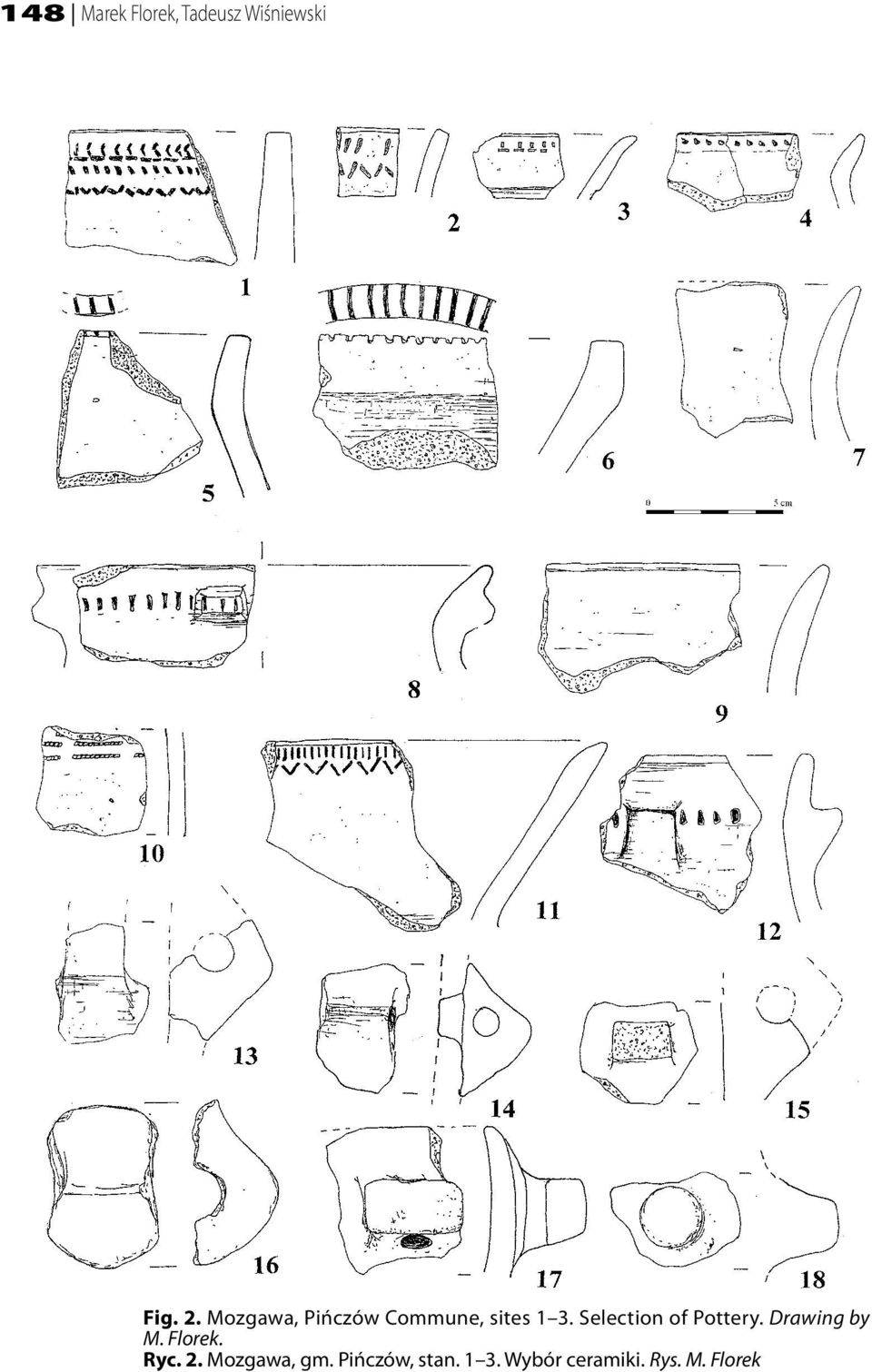 Selection of Pottery. Drawing by M. Florek. Ryc.