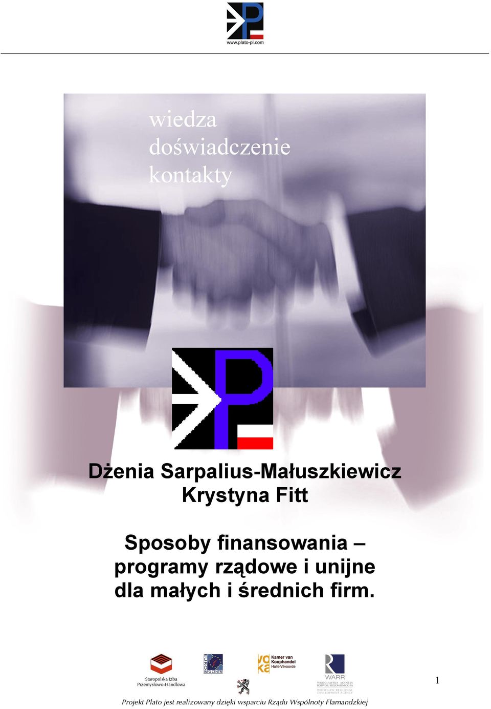 Sposoby finansowania programy rządowe