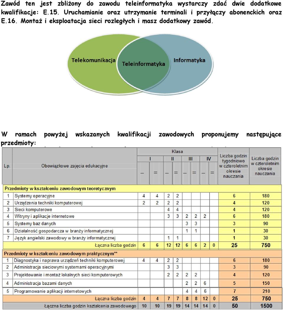 Uruchamianie oraz utrzymanie terminali i przyłączy abonenckich oraz E.16.