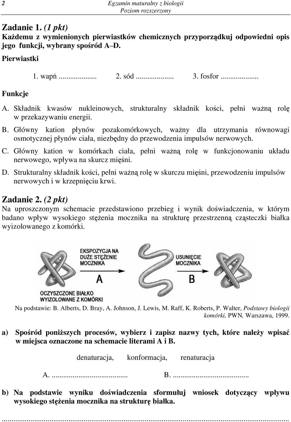 Główny kation płynów pozakomórkowych, ważny dla utrzymania równowagi osmotycznej płynów ciała, niezbędny do przewodzenia impulsów nerwowych. C.