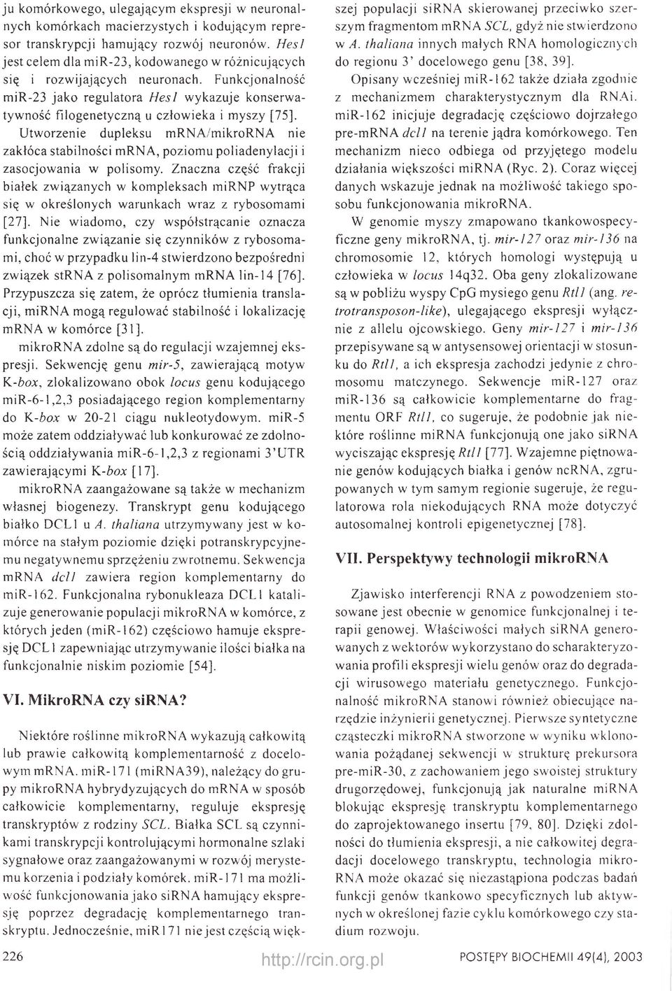 Funkcjonalność mir-23 jako regulatora H e sl wykazuje konserwatywność filogenetyczną u człowieka i myszy [75], Utworzenie dupleksu mrna/mikrorna nie zakłóca stabilności mrna, poziomu poliadenylacji i