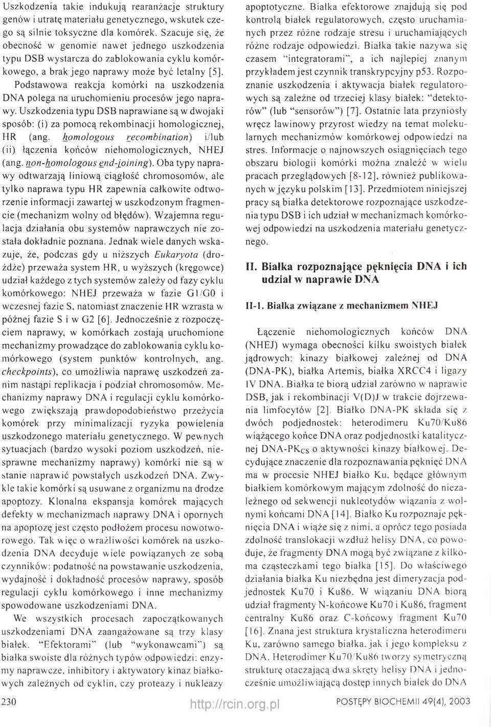 DNA polega na uruchomieniu procesów jego naprawy. Uszkodzenia typu DSB naprawiane są w dwojaki sposób: (i) za pomocą rekombinacji homologicznej, HR (ang.