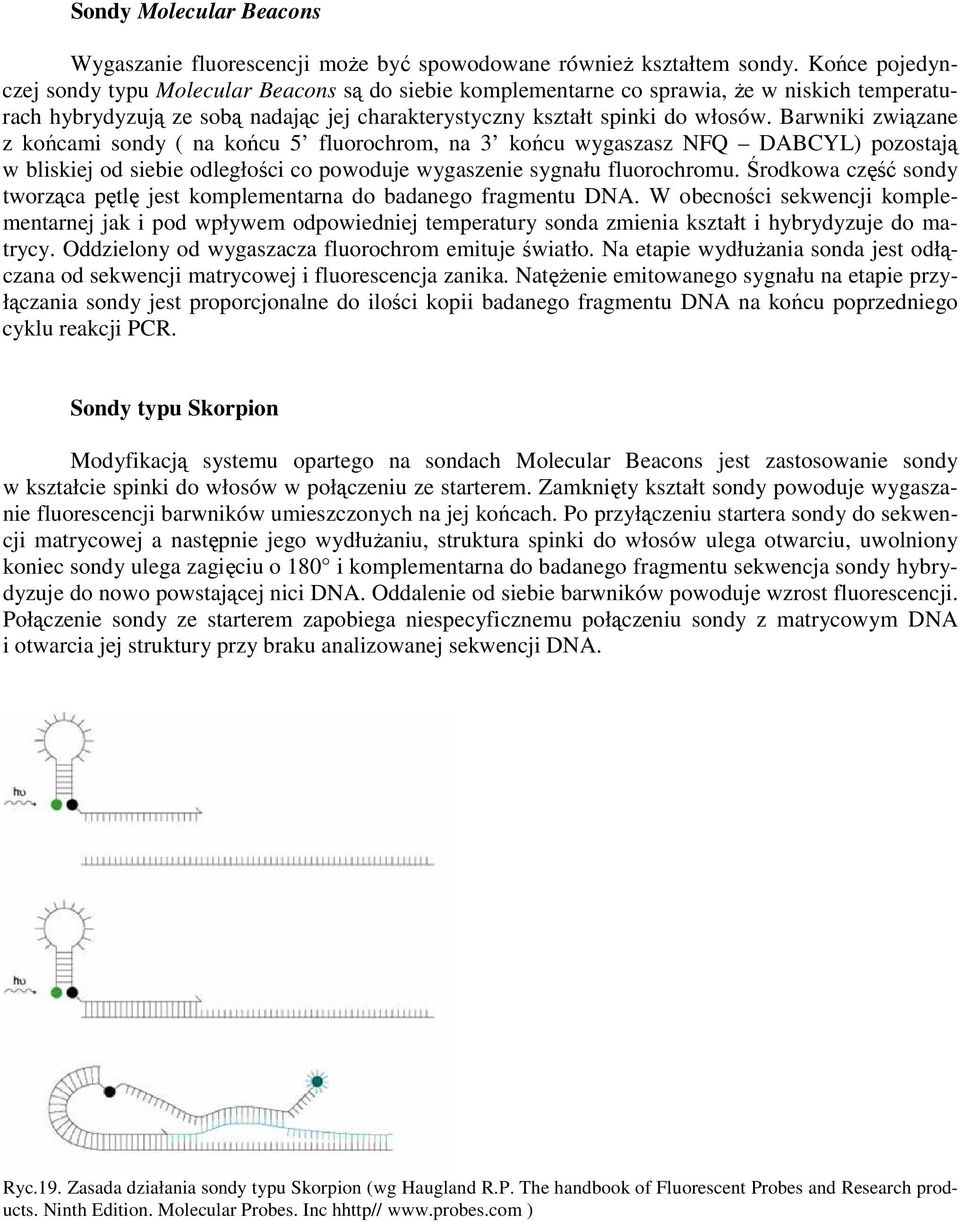 Barwniki związane z końcami sondy ( na końcu 5 fluorochrom, na 3 końcu wygaszasz NFQ DABCYL) pozostają w bliskiej od siebie odległości co powoduje wygaszenie sygnału fluorochromu.