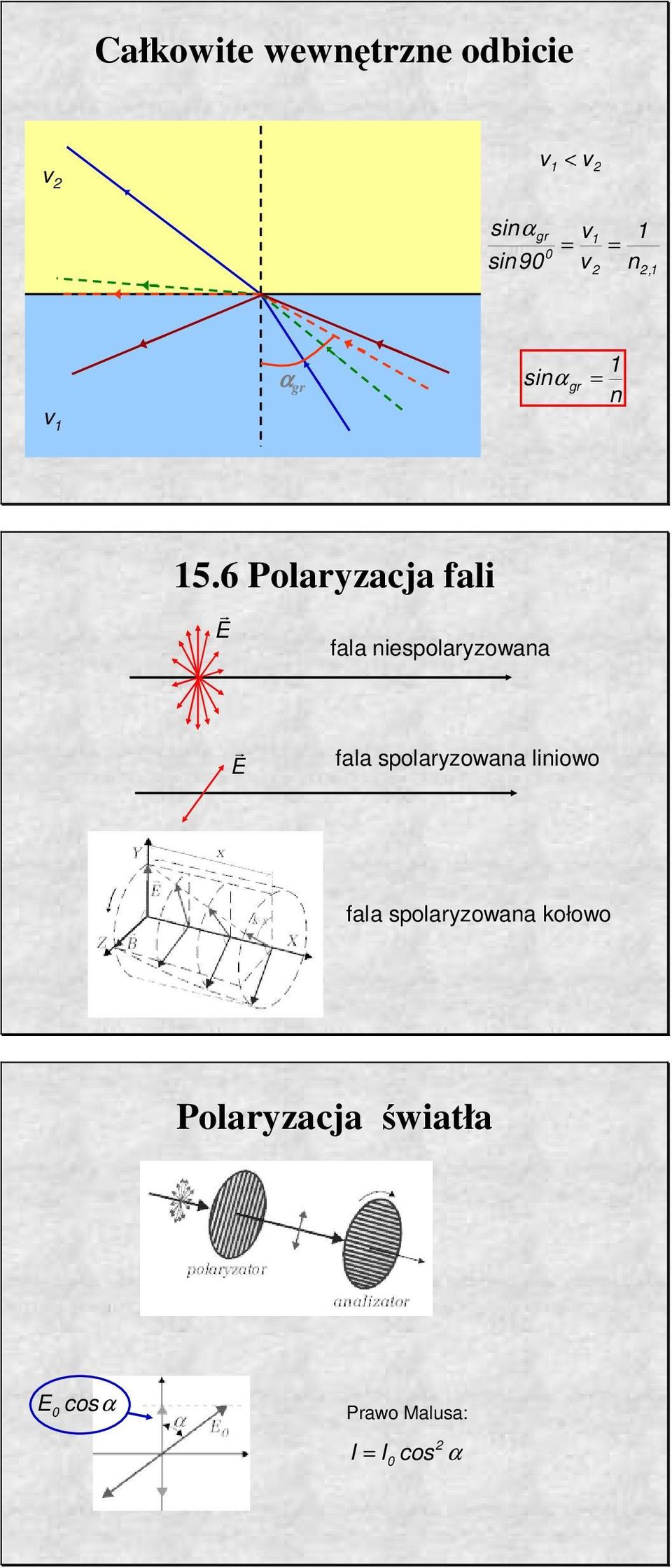 iespolaryzowaa r ala spolaryzowaa liiowo ala