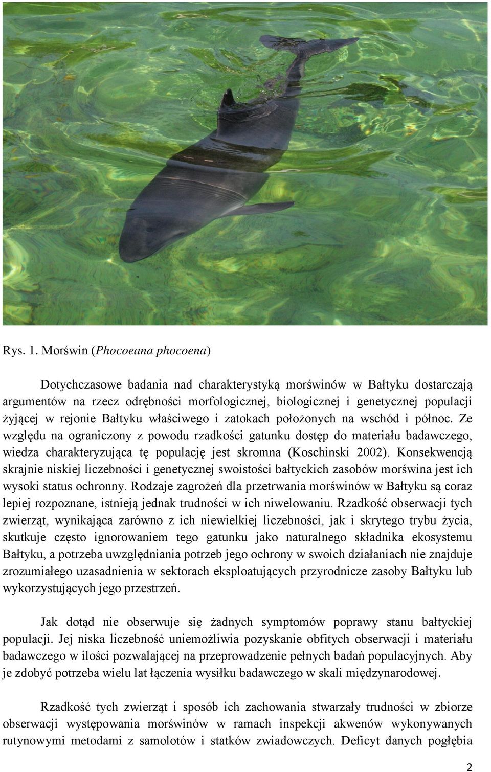 rejonie Bałtyku właściwego i zatokach położonych na wschód i północ.