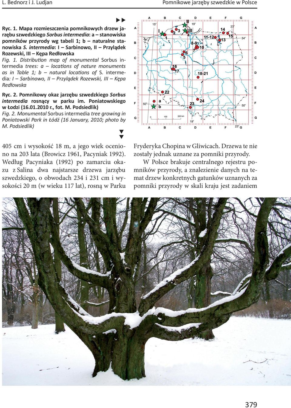 intermedia: I Sarbinowo, II Przylądek Rozewski, III Kępa Redłowska Fig. 1. Distribu on map of monumental Sorbus intermedia trees: a loca ons of nature monuments as in Table 1; b natural loca ons of S.