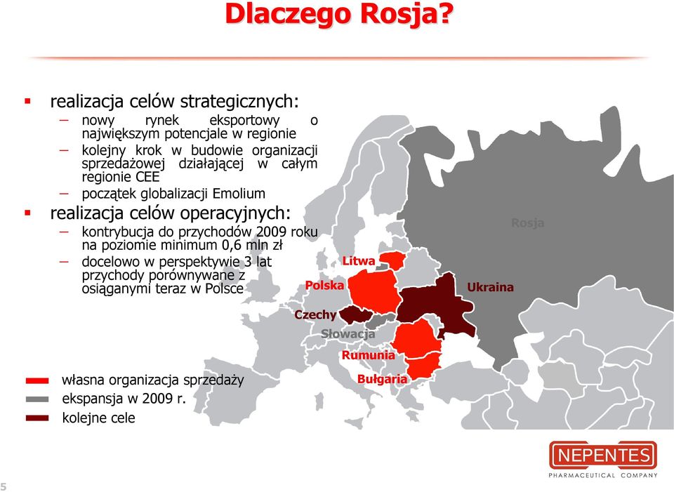 sprzedaŝowej działającej w całym regionie CEE początek globalizacji Emolium realizacja celów operacyjnych: kontrybucja do