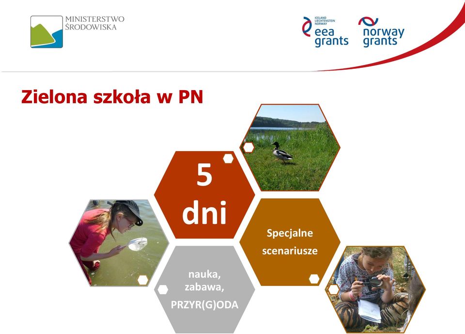 scenariusze nauka,
