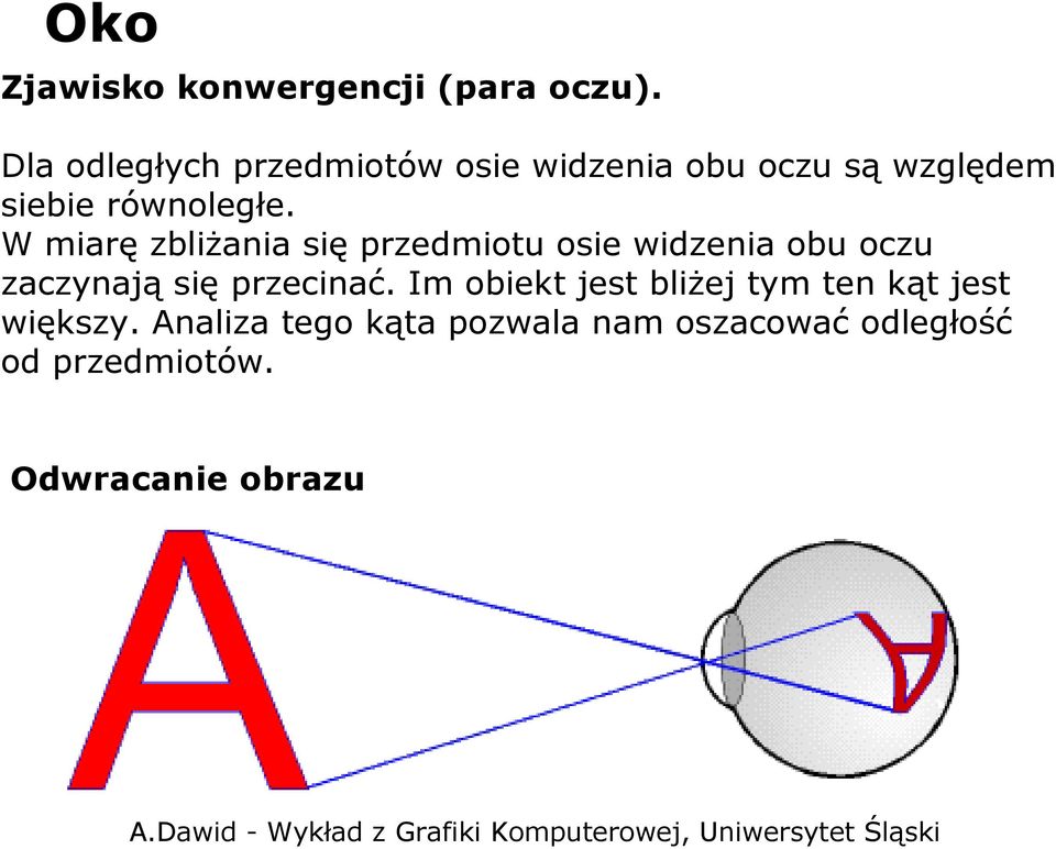 W miarę zbliżania się przedmiotu osie widzenia obu oczu zaczynają się przecinać.