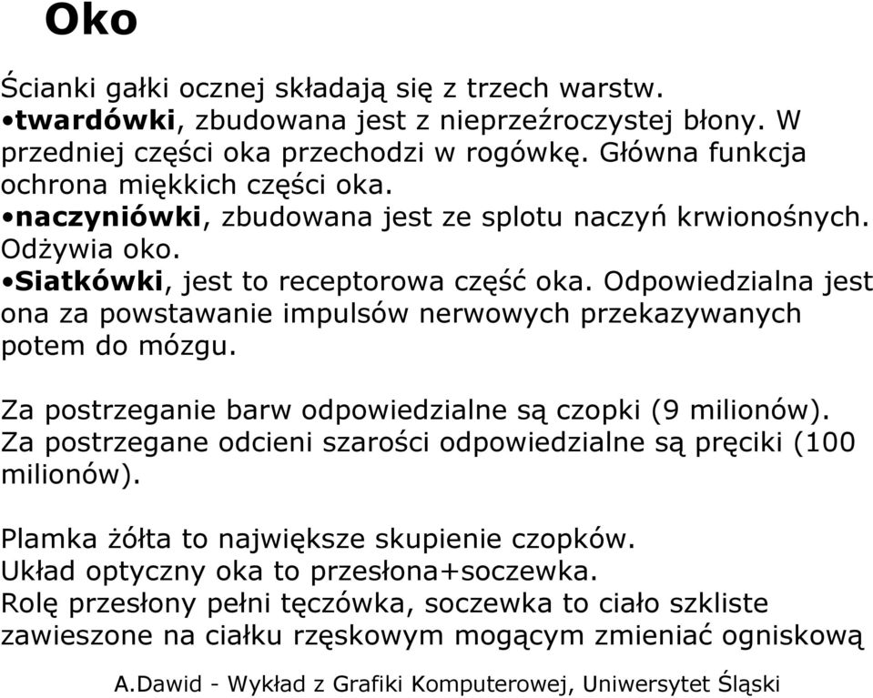 Odpowiedzialna jest ona za powstawanie impulsów nerwowych przekazywanych potem do mózgu. Za postrzeganie barw odpowiedzialne są czopki (9 milionów).