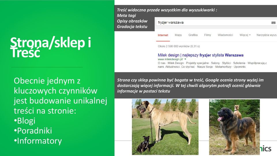 Blogi Poradniki Informatory Strona czy sklep powinna być bogata w treść, Google ocenia strony wyżej