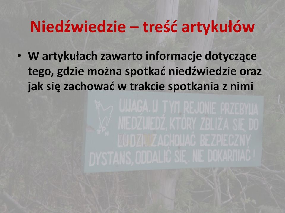 tego, gdzie można spotkać niedźwiedzie