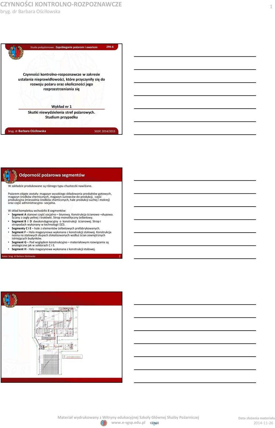 Pożarem objęte zostały: magazyn wysokiego składowania produktów gotowych, magazyn środków chemicznych, magazyn surowców do produkcji, część produkcyjna (mieszalnia środków chemicznych, hale produkcji