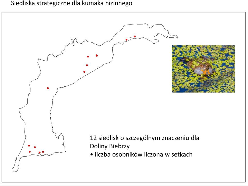 szczególnym znaczeniu dla Doliny