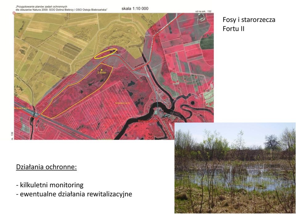 kilkuletni monitoring -