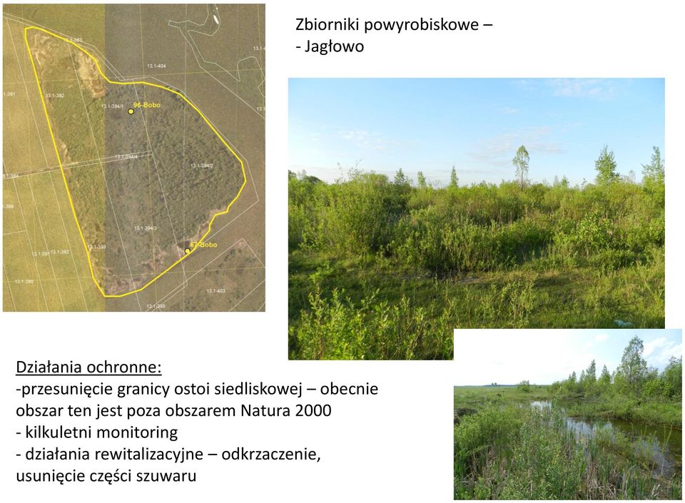 2000 - kilkuletni monitoring - działania rewitalizacyjne