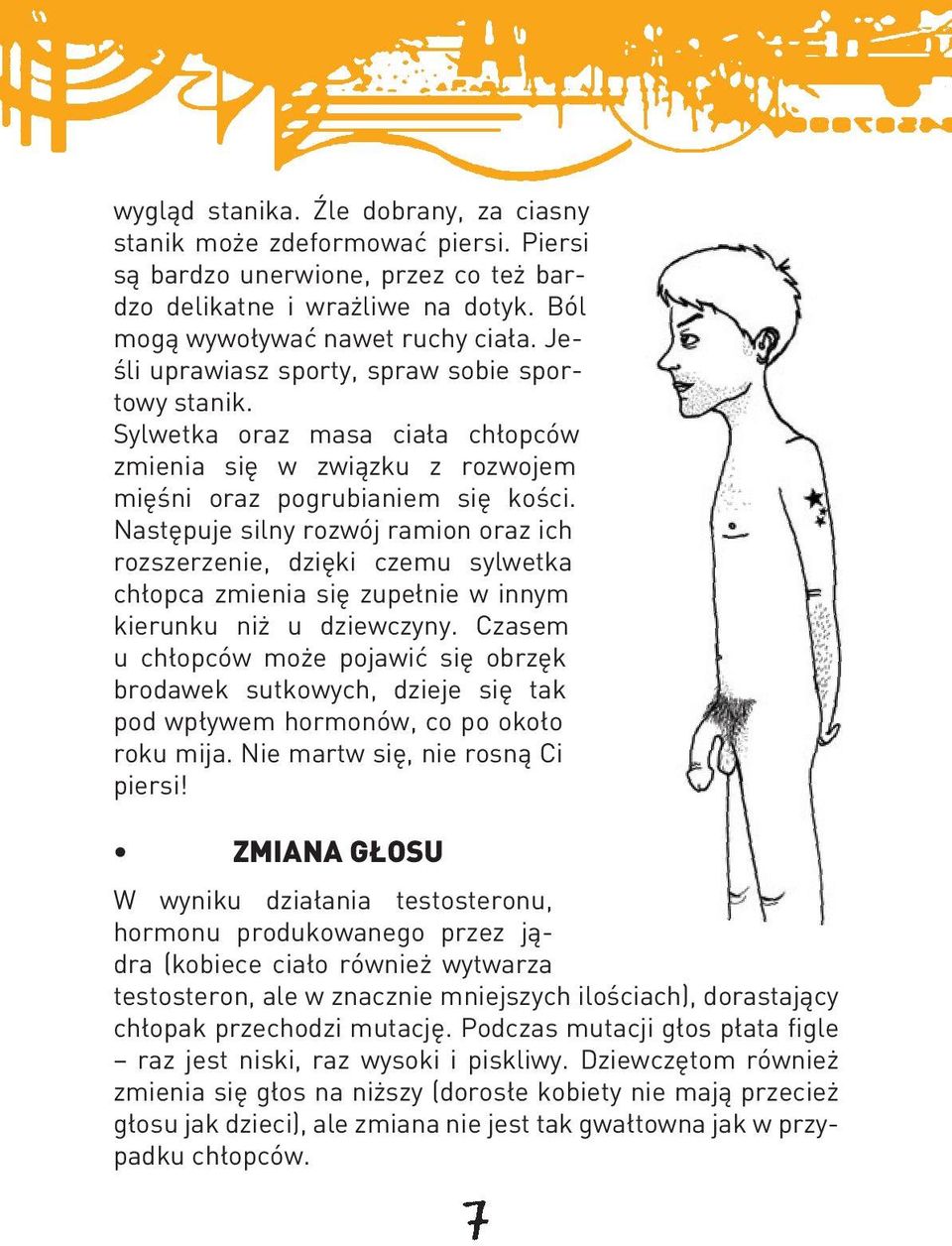 Następuje silny rozwój ramion oraz ich rozszerzenie, dzięki czemu sylwetka chłopca zmienia się zupełnie w innym kierunku niż u dziewczyny.