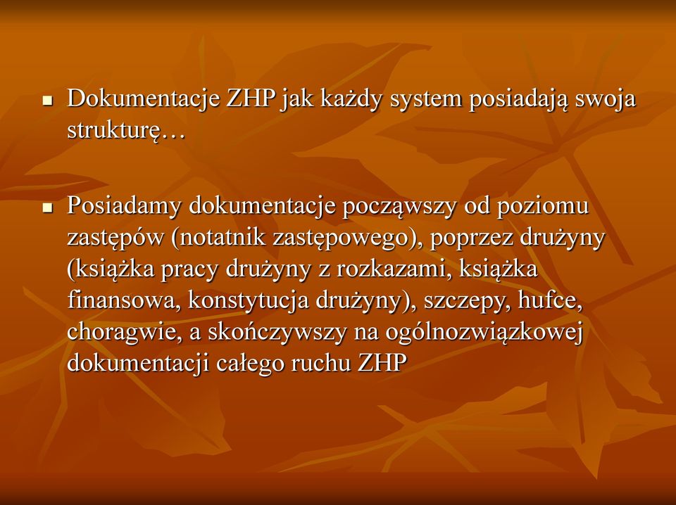 drużyny (książka pracy drużyny z rozkazami, książka finansowa, konstytucja