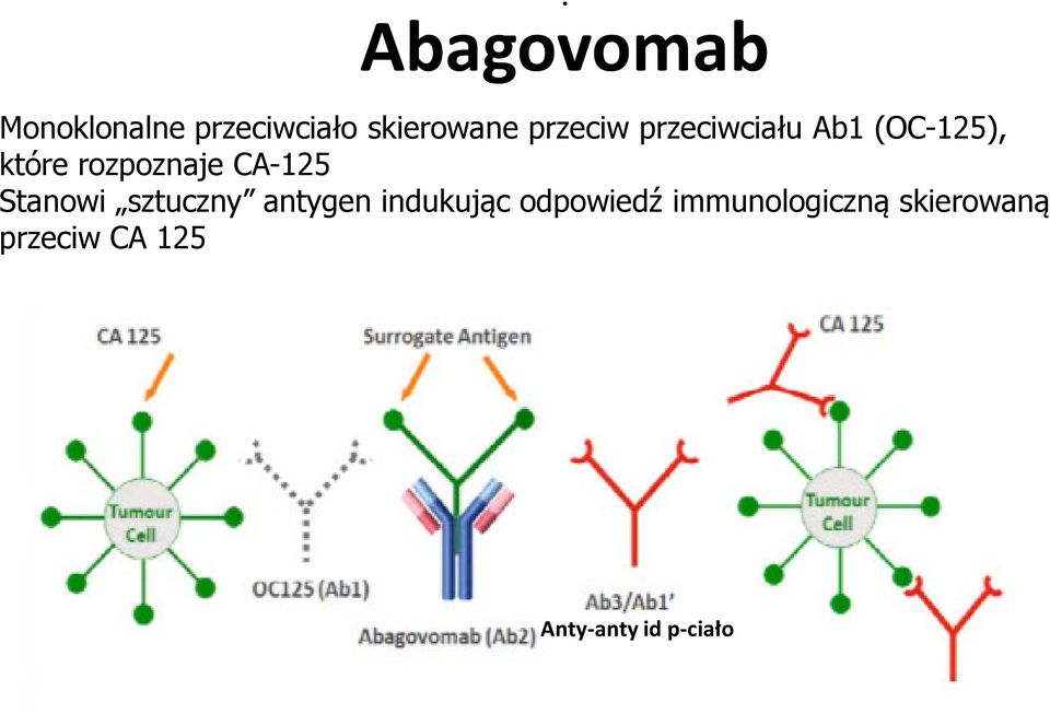 przeciwciału Ab1 (OC-125), które rozpoznaje CA-125 Stanowi