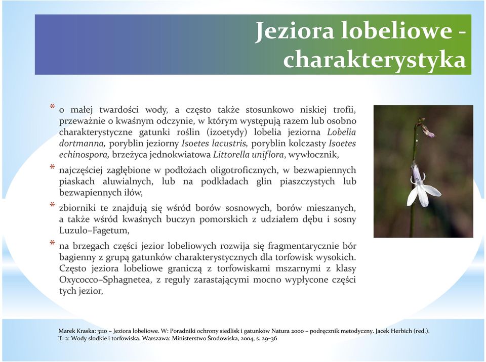 najczęściej zagłębione w podłożach oligotroficznych, w bezwapiennych piaskach aluwialnych, lub na podkładach glin piaszczystych lub bezwapiennych iłów, * zbiorniki te znajdują się wśród borów