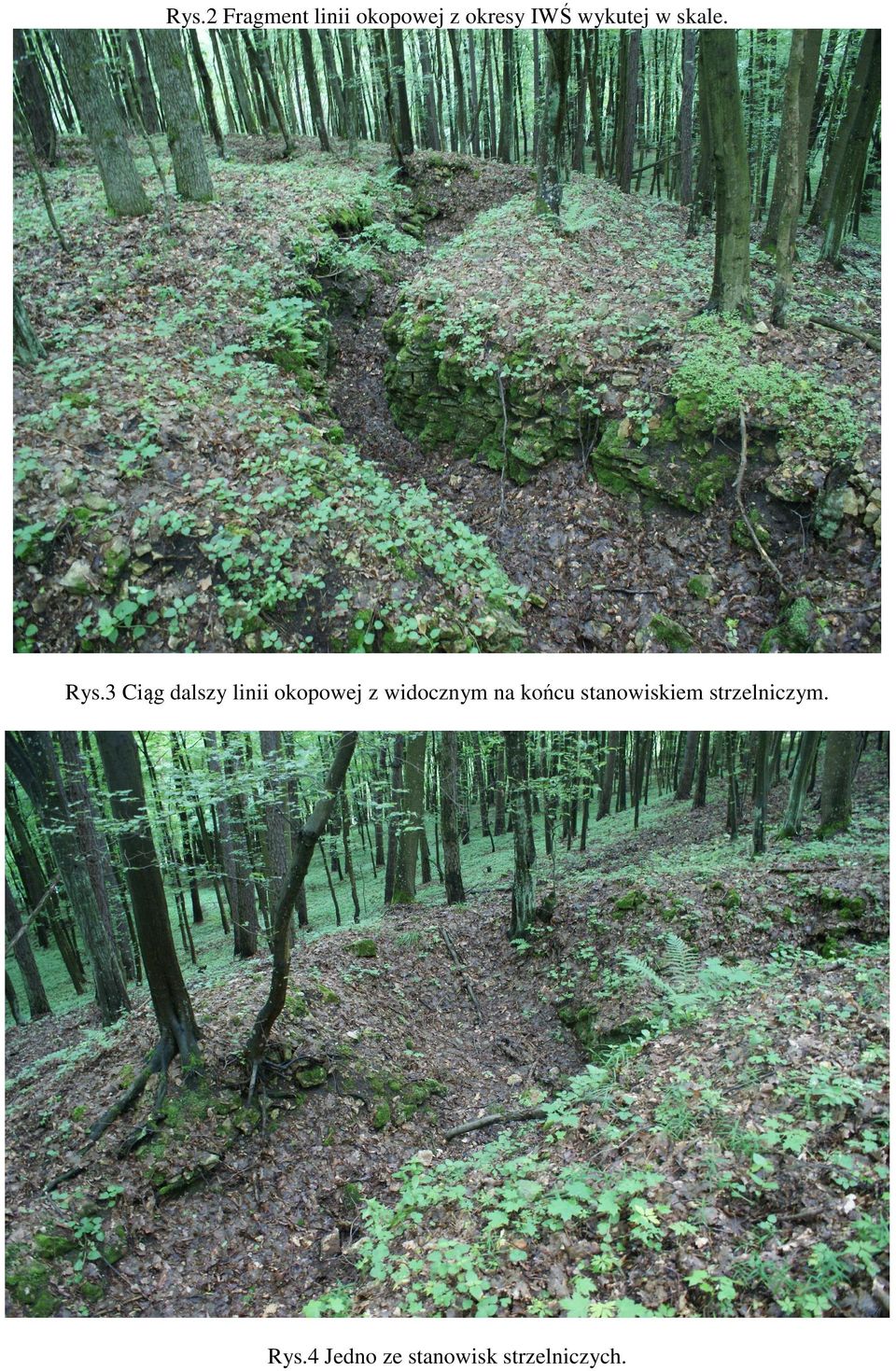 3 Ciąg dalszy linii okopowej z widocznym na