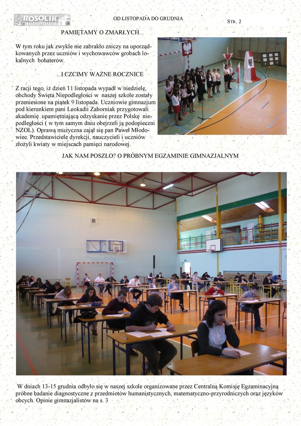 Uczniowie gimnazjum pod kierunkiem pani Leokadii Zaborniak przygotowali akademię upamiętniającą odzyskanie przez Polskę niepodległości ( w tym samym dniu obejrzeli ją podopieczni NZOL).