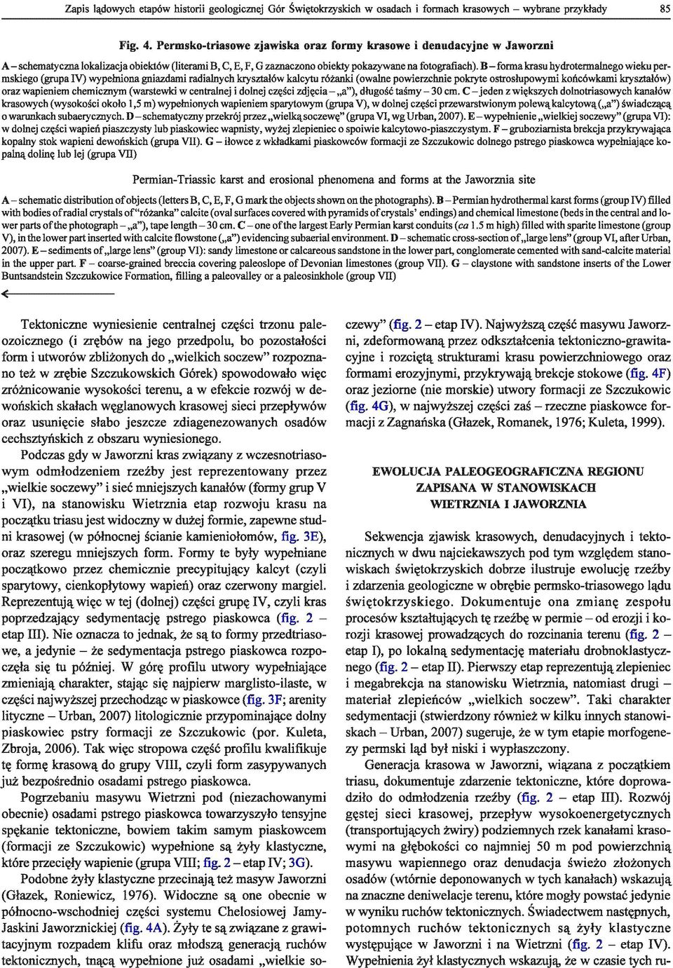 B - fonna krasu hydrotennalnego wieku permskiego (grupa IV) wypełniona gniazdami radialnych kryształów kalcytu różanki (owalne powierzchnie pokryte ostrosłupowymi końcówkami kryształów) oraz