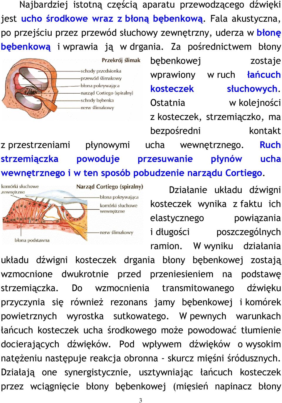 Za pośrednictwem błony bębenkowej zostaje wprawiony w ruch łańcuch kosteczek słuchowych.