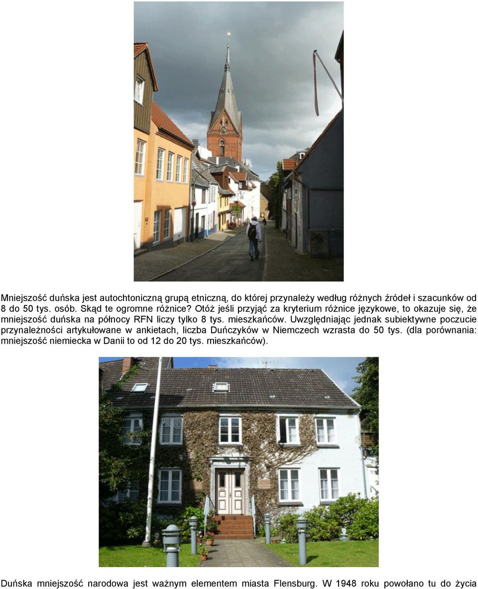 mieszkańców. Uwzględniając jednak subiektywne poczucie przynależności artykułowane w ankietach, liczba Duńczyków w Niemczech wzrasta do 50 tys.