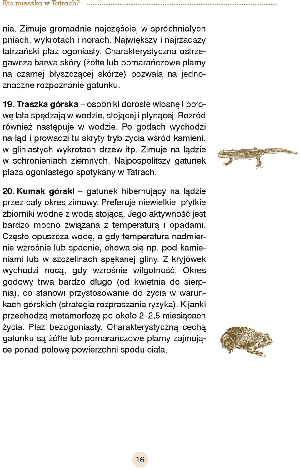 Traszka górska osobniki dorosłe wiosnę i połowę lata spędzają w wodzie, stojącej i płynącej. Rozród również następuje w wodzie.