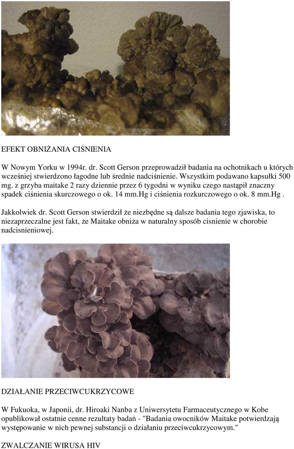 hg. Jakkolwiek dr. Scott Gerson stwierdził że niezbędne są dalsze badania tego zjawiska, to niezaprzeczalne jest fakt, że Maitake obniża w naturalny sposób cisnienie w chorobie nadcisnieniowej.
