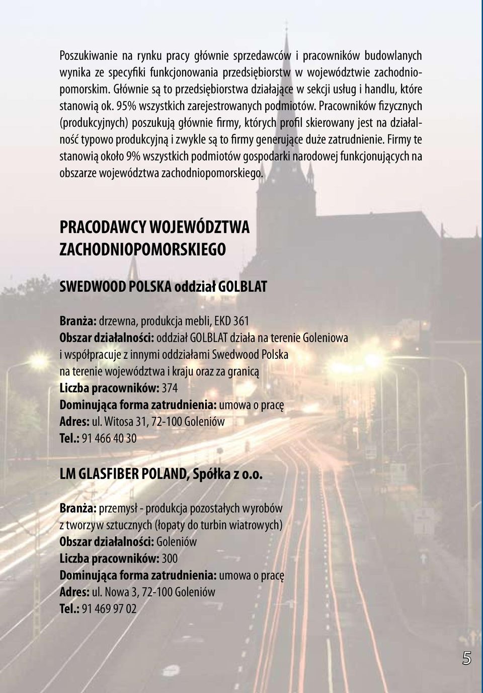 Pracowników fizycznych (produkcyjnych) poszukują głównie firmy, których profil skierowany jest na działalność typowo produkcyjną i zwykle są to firmy generujące duże zatrudnienie.