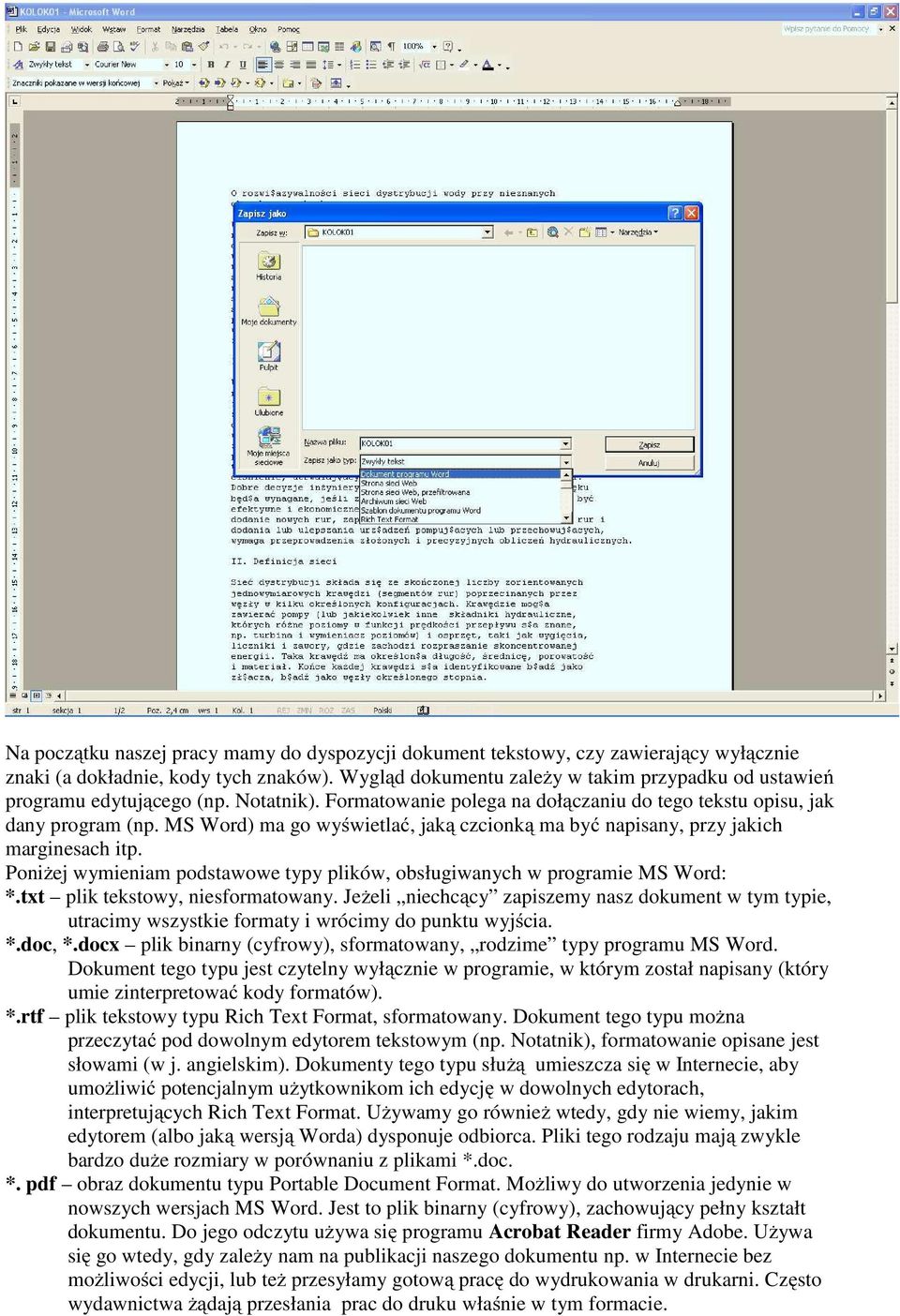 MS Word) ma go wyświetlać, jaką czcionką ma być napisany, przy jakich marginesach itp. Poniżej wymieniam podstawowe typy plików, obsługiwanych w programie MS Word: *.