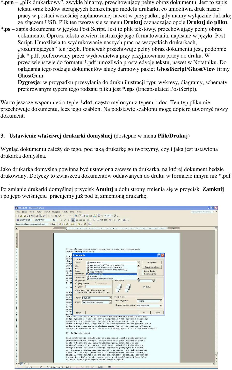 Plik ten tworzy się w menu Drukuj zaznaczając opcję Drukuj do pliku. *.ps zapis dokumentu w języku Post Script. Jest to plik tekstowy, przechowujący pełny obraz dokumentu.