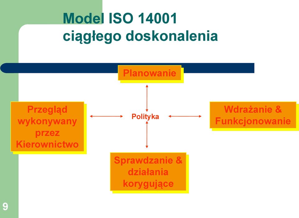 Kierownictwo Polityka Sprawdzanie &