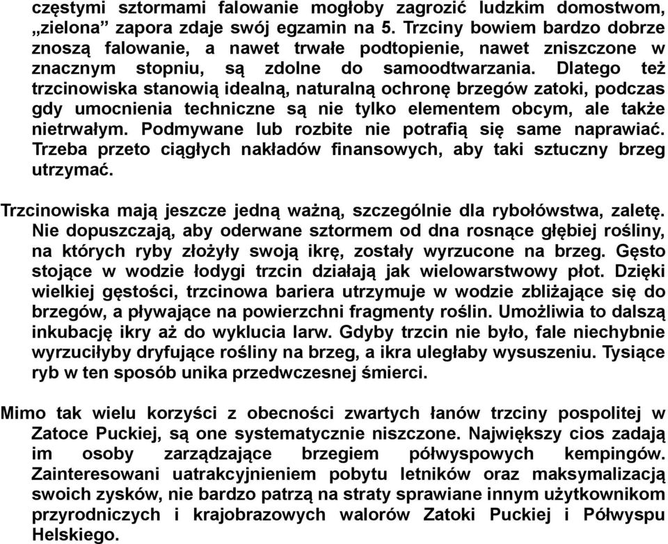 Dlatego też trzcinowiska stanowią idealną, naturalną ochronę brzegów zatoki, podczas gdy umocnienia techniczne są nie tylko elementem obcym, ale także nietrwałym.