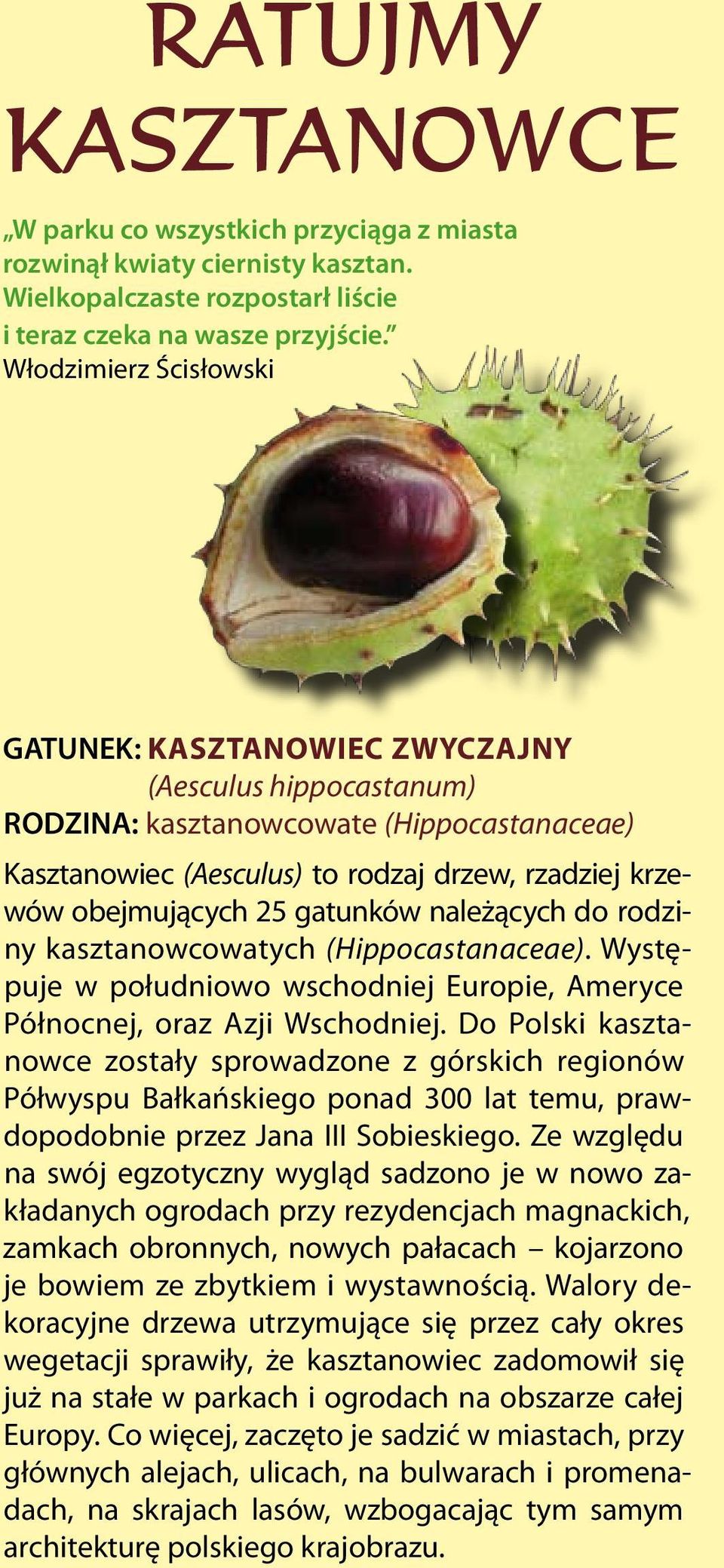 gatunków należących do rodziny kasztanowcowatych (Hippocastanaceae). Występuje w południowo wschodniej Europie, Ameryce Północnej, oraz Azji Wschodniej.