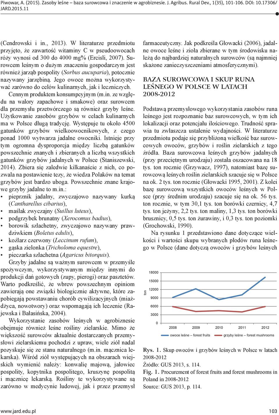 Jego owoce można wykorzystywać zarówno do celów kulinarnych, jak i leczniczych. Cennym produktem konsumpcyjnym (m.in. ze względu na walory zapachowe i smakowe) oraz surowcem dla przemysłu przetwórczego są również grzyby leś ne.