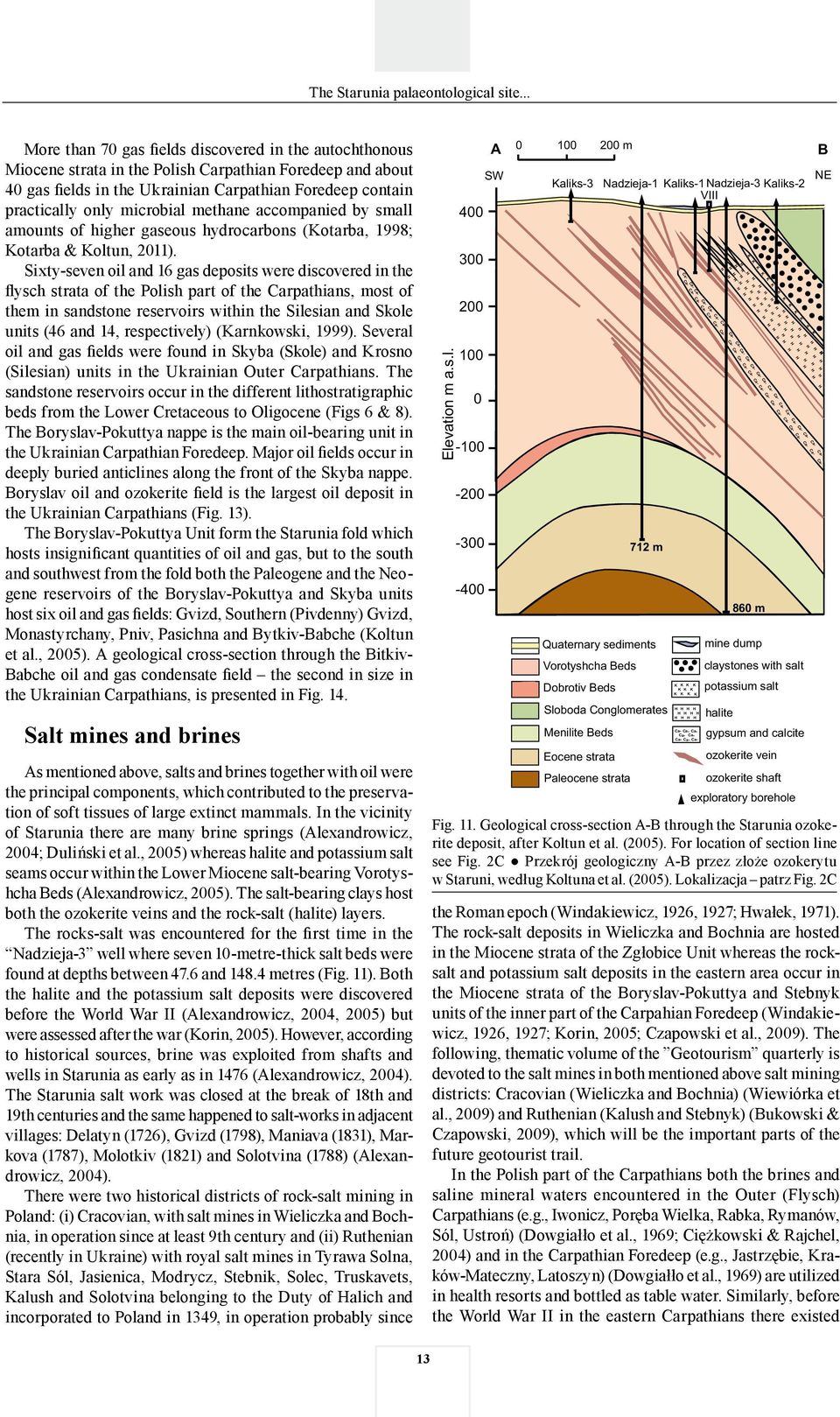 Sixty-seven oil and 16 gas deposits were discovered in the flysch strata of the Polish part of the Carpathians, most of them in sandstone reservoirs within the Silesian and Skole units (46 and 14,