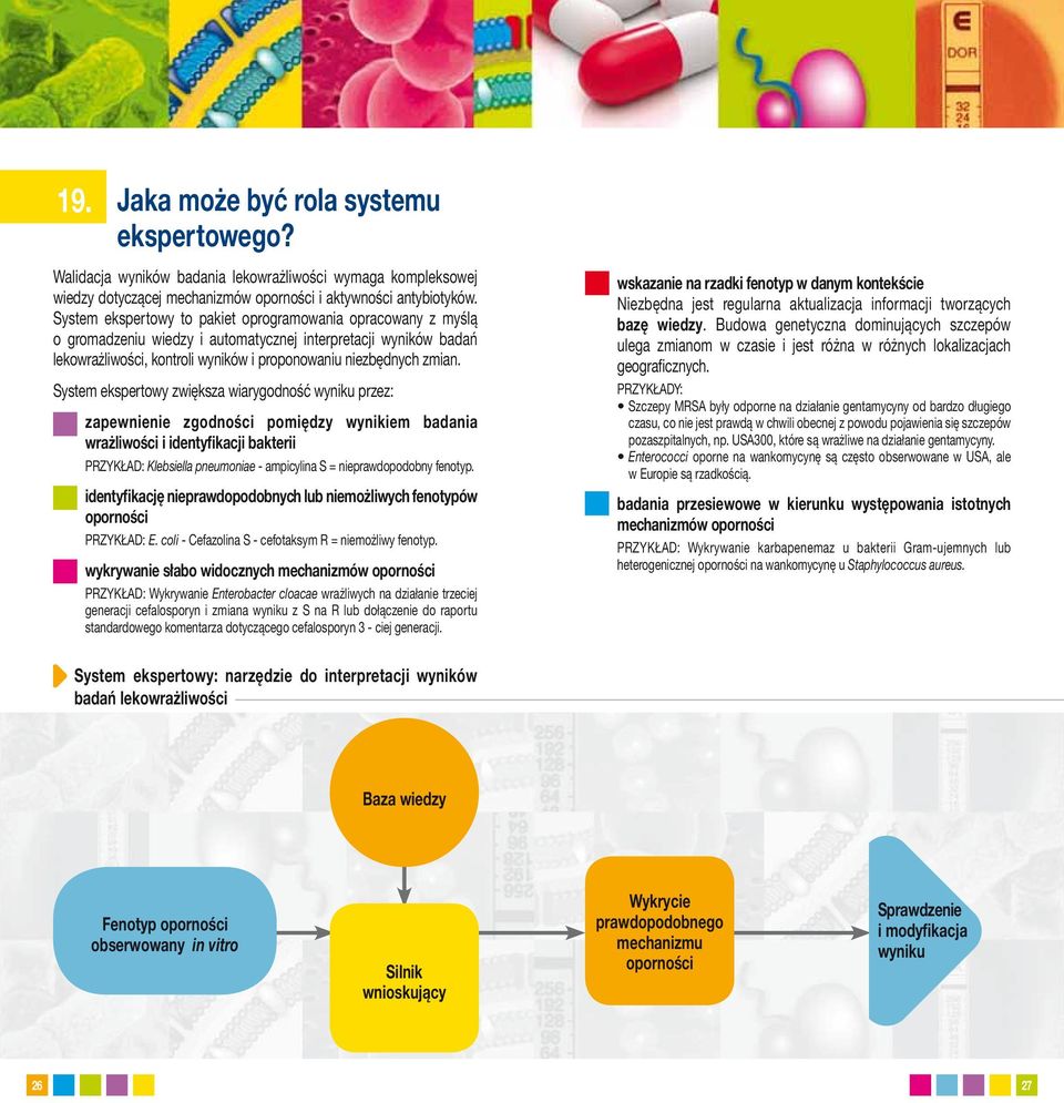 System ekspertowy zwiększa wiarygodność wyniku przez: zapewnienie zgodności pomiędzy wynikiem badania wrażliwości i identyfikacji bakterii PRZYKŁAD: Klebsiella pneumoniae - ampicylina S =