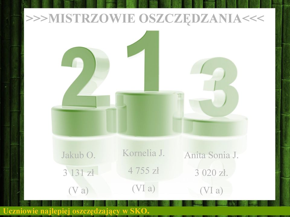 3 131 zł 4 755 zł 3 020 zł.
