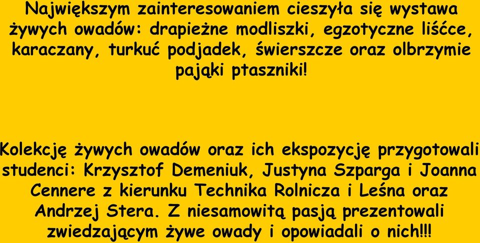 Kolekcję żywych owadów oraz ich ekspozycję przygotowali studenci: Krzysztof Demeniuk, Justyna Szparga i