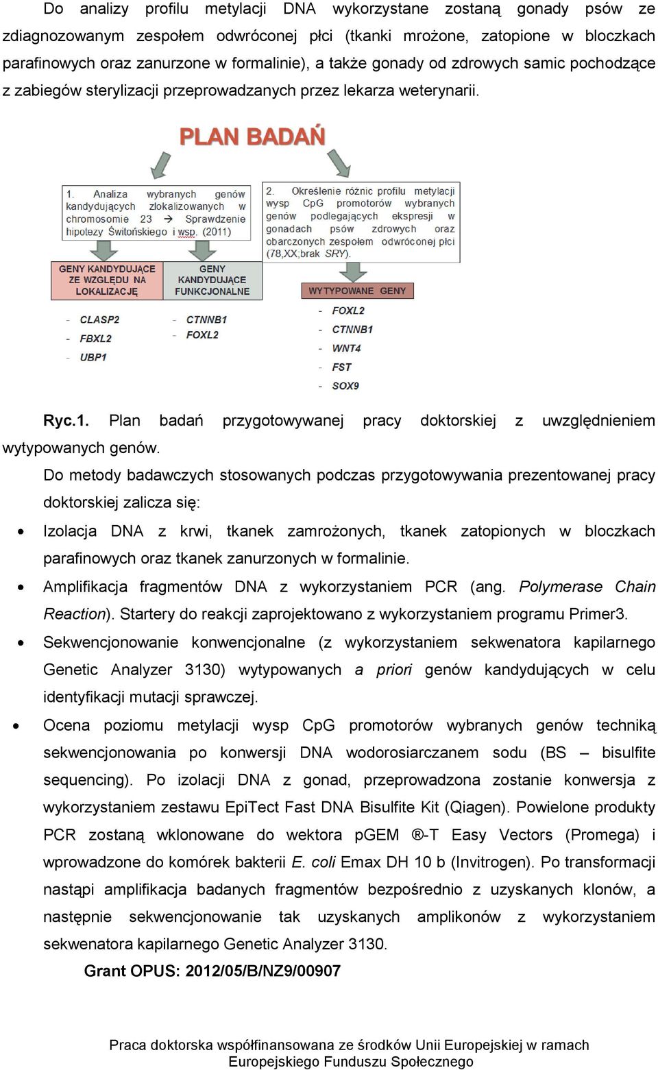 Do metody badawczych stosowanych podczas przygotowywania prezentowanej pracy doktorskiej zalicza się: Izolacja DNA z krwi, tkanek zamrożonych, tkanek zatopionych w bloczkach parafinowych oraz tkanek