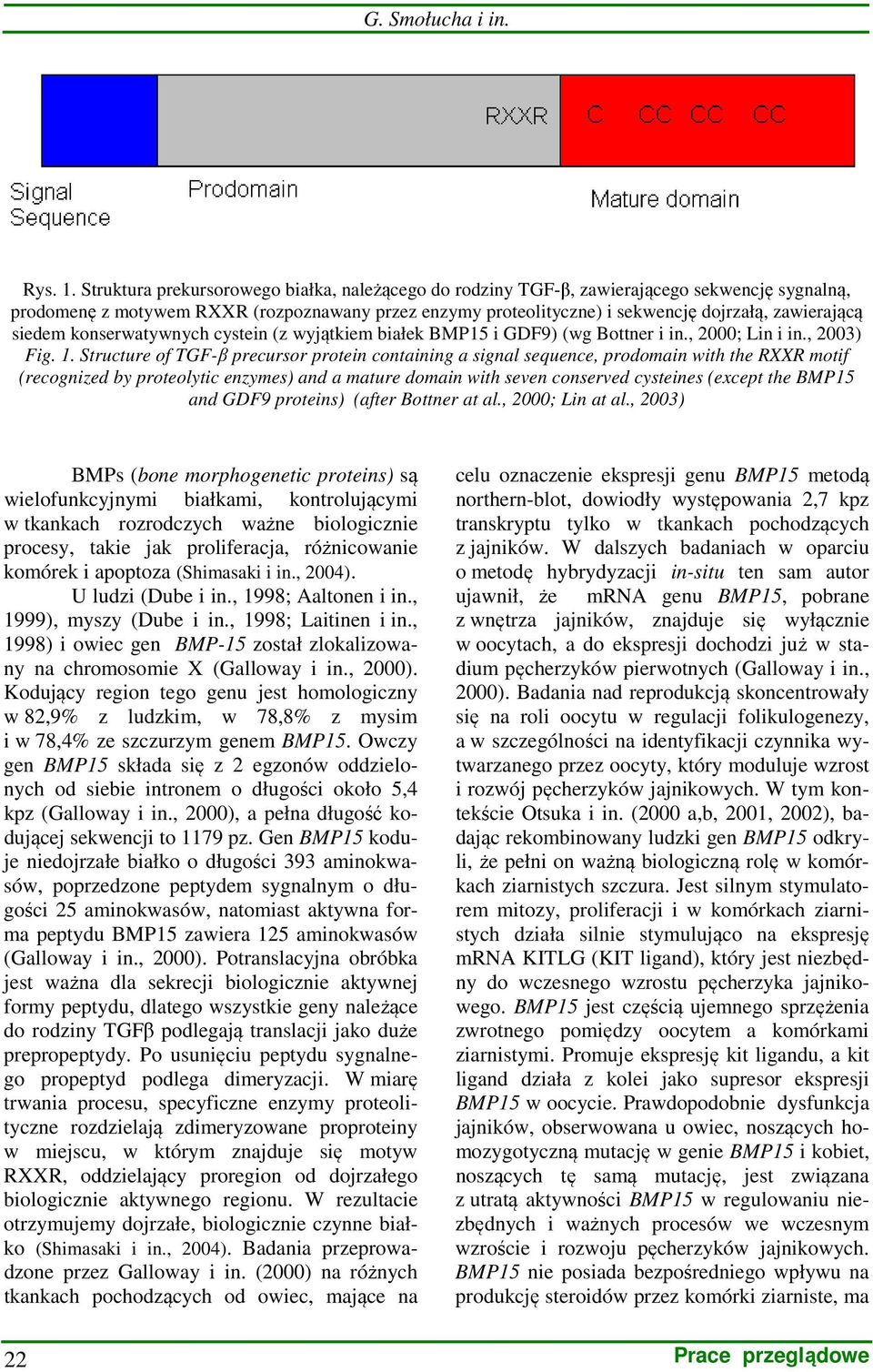 siedem konserwatywnych cystein (z wyjątkiem białek BMP15 i GDF9) (wg Bottner i in., 2000; Lin i in., 2003) Fig. 1.