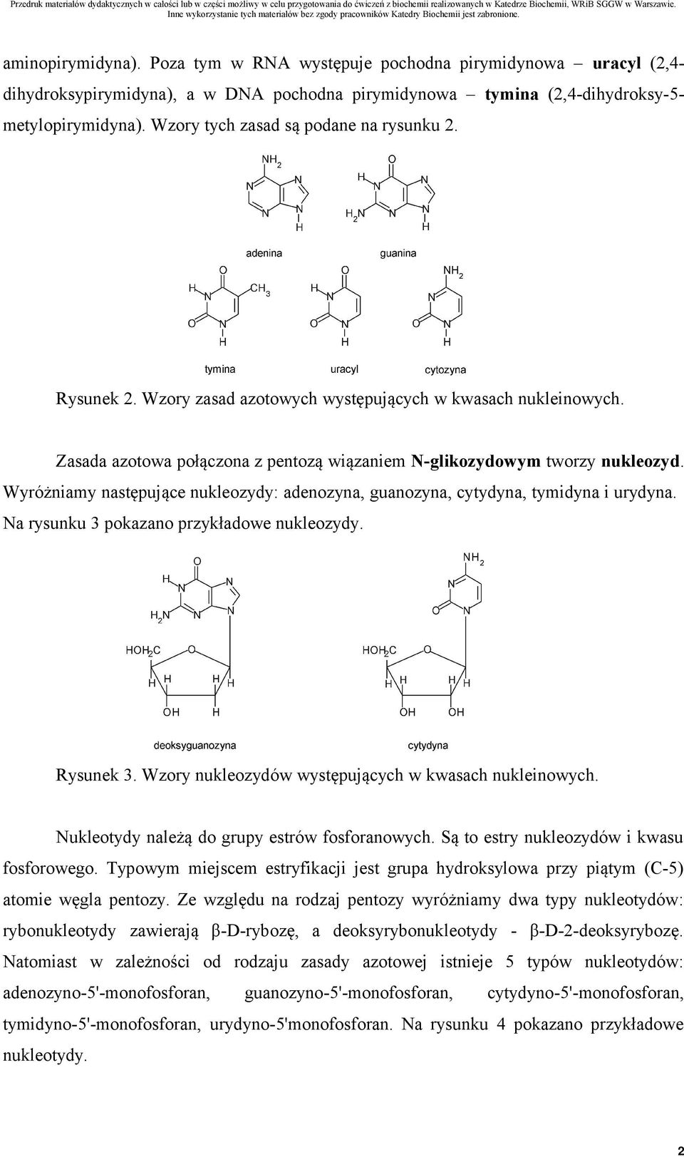 Wyróżniamy następujące nukleozydy: adenozyna, guanozyna, cytydyna, tymidyna i urydyna. Na rysunku 3 pokazano przykładowe nukleozydy. Rysunek 3. Wzory nukleozydów występujących w kwasach nukleinowych.