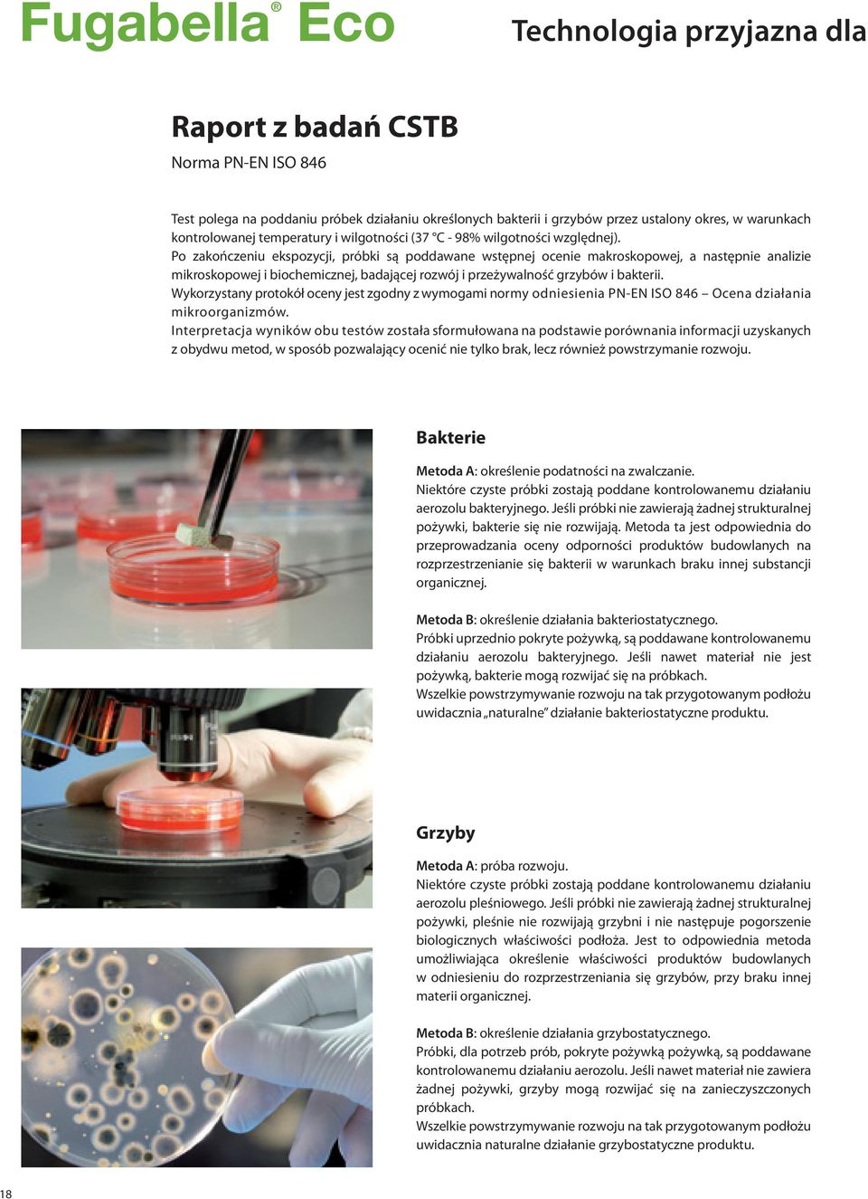 Po zakończeniu ekspozycji, próbki są poddawane wstępnej ocenie makroskopowej, a następnie analizie mikroskopowej i biochemicznej, badającej rozwój i przeżywalność grzybów i bakterii.
