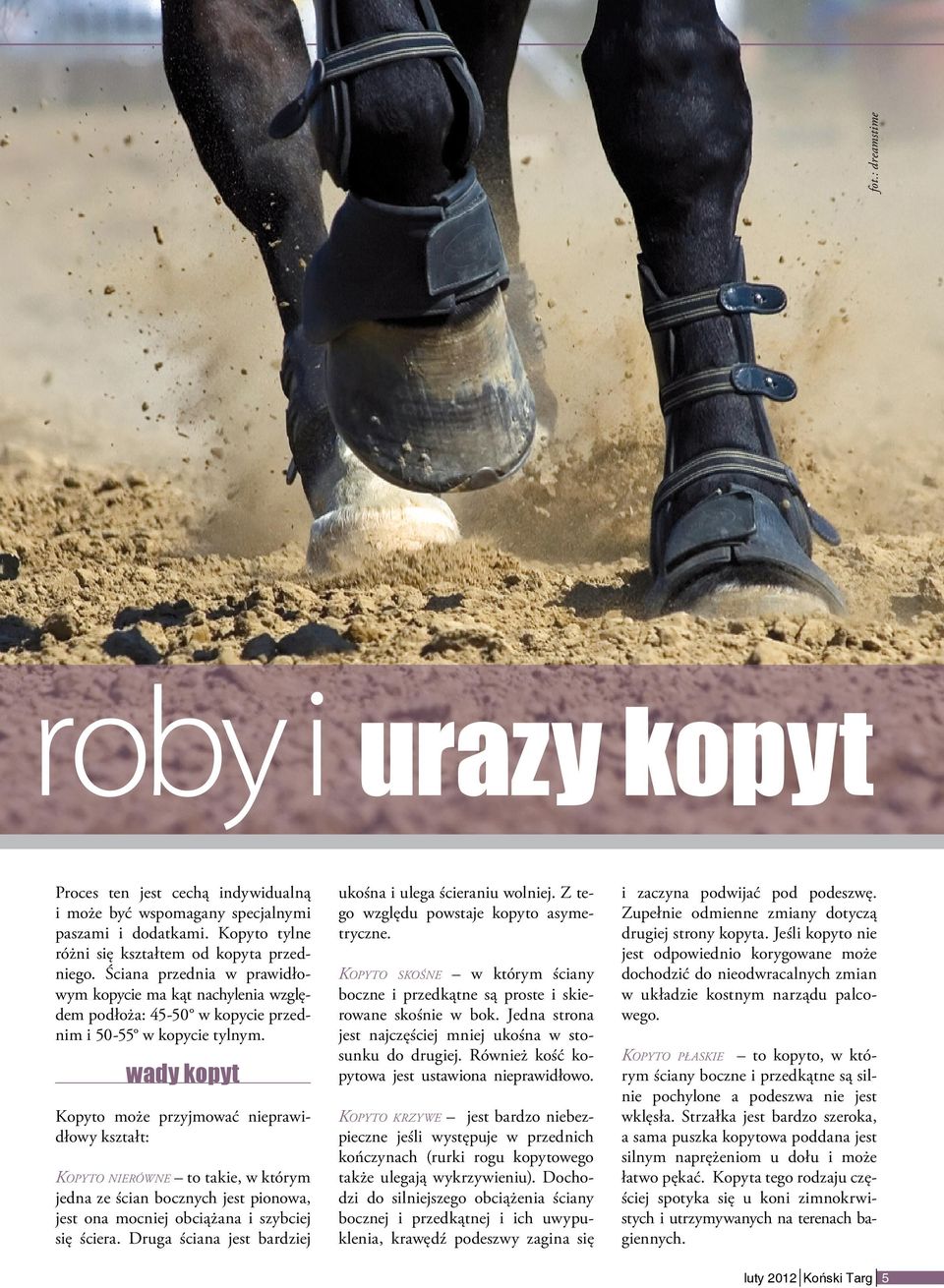 wady kopyt Kopyto może przyjmować nieprawidłowy kształt: Kopyto nierówne to takie, w którym jedna ze ścian bocznych jest pionowa, jest ona mocniej obciążana i szybciej się ściera.