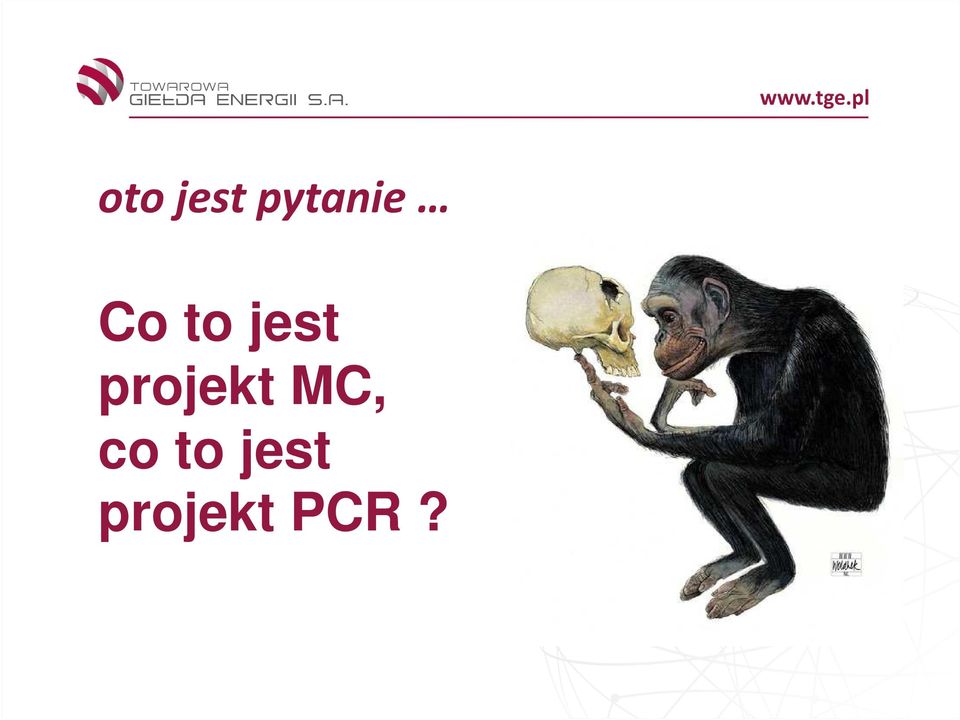 jest projekt